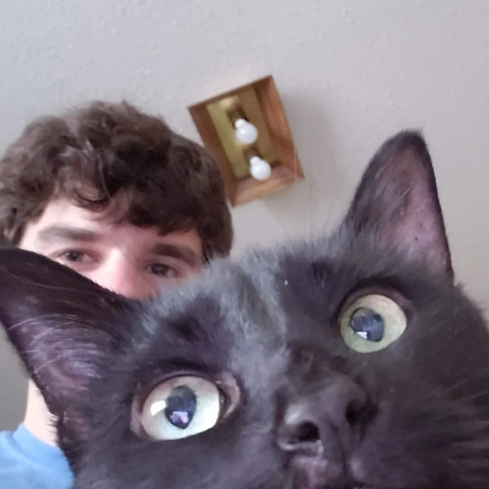 peterbp.bsky.social's profile picture