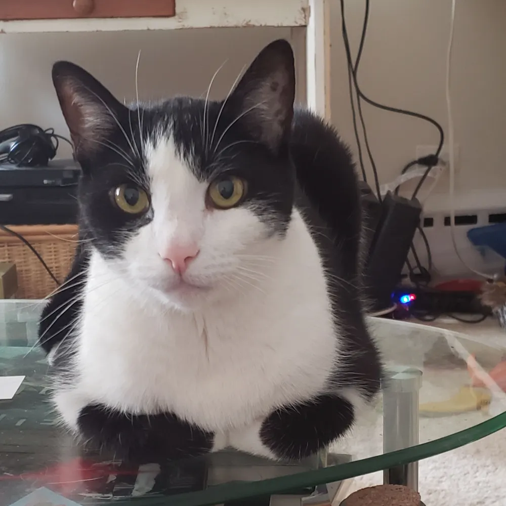 veleda-k.bsky.social's profile picture