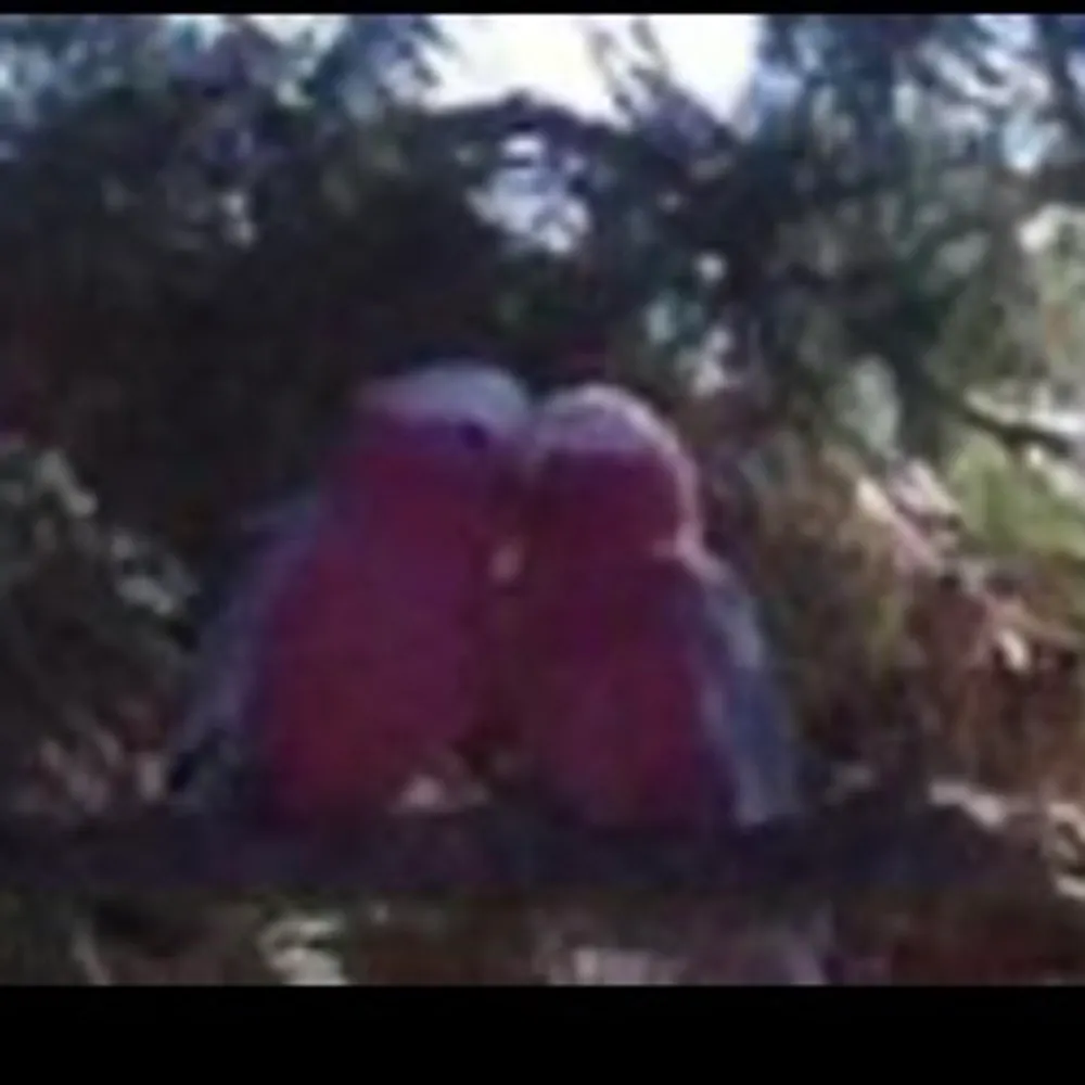 tommixer.bsky.social's profile picture