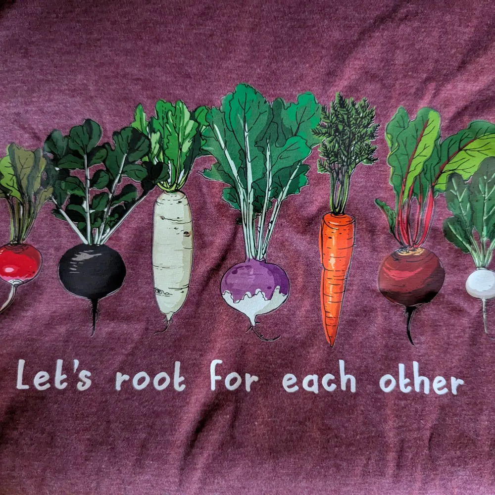 crystalconch.bsky.social's profile picture