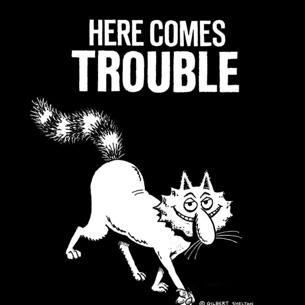 petersquires.bsky.social's profile picture