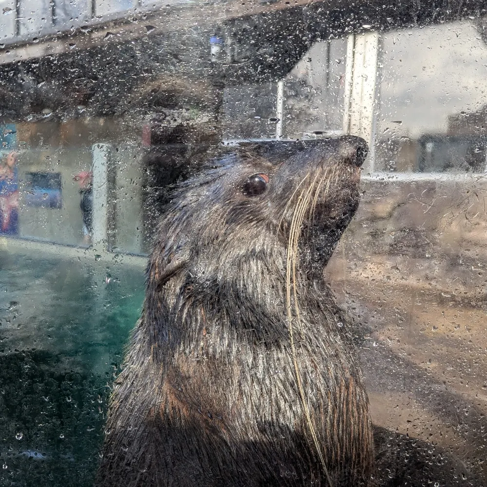 millinilli.bsky.social's profile picture