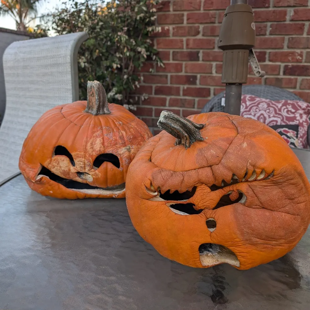 wilburz.bsky.social's profile picture