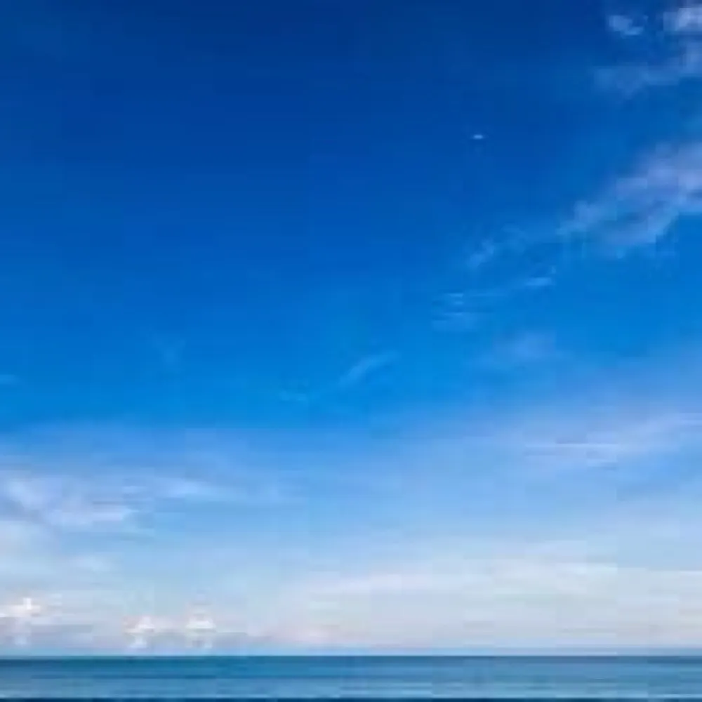 btm9876.bsky.social's profile picture