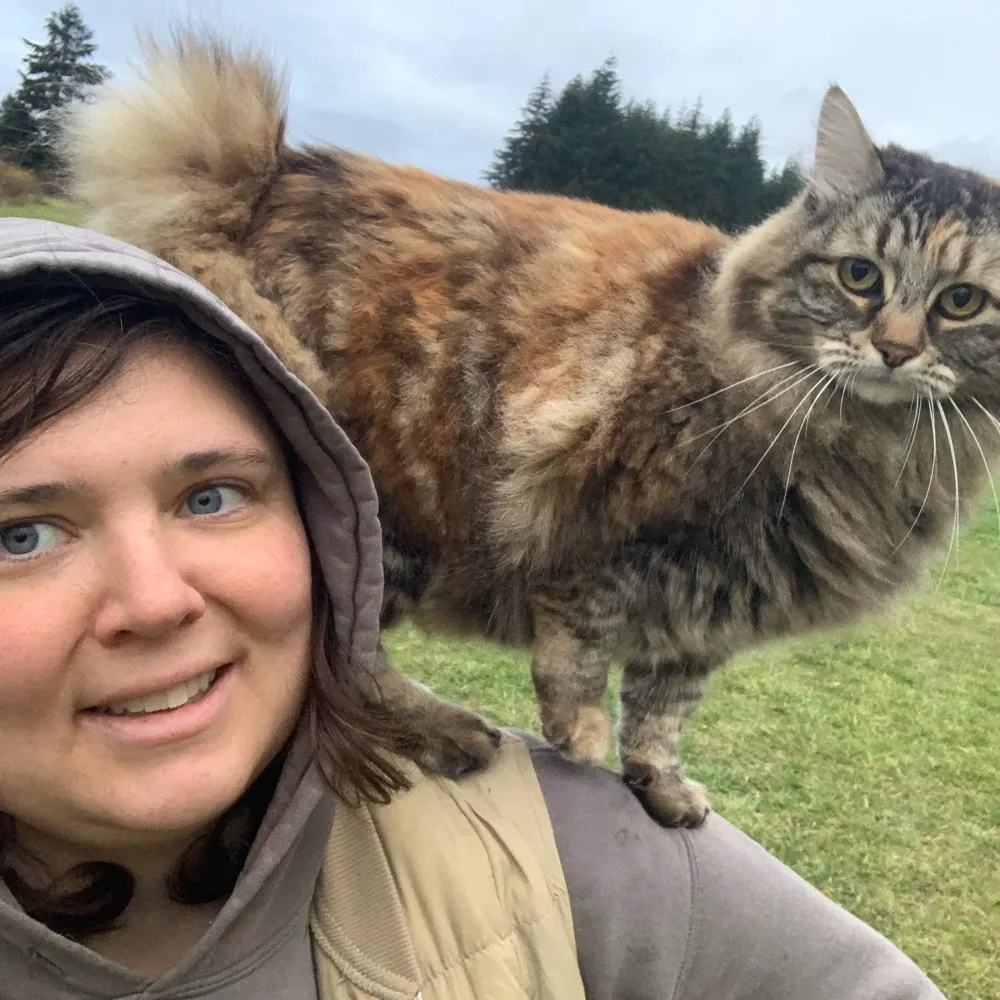 emilymanke.com's profile picture