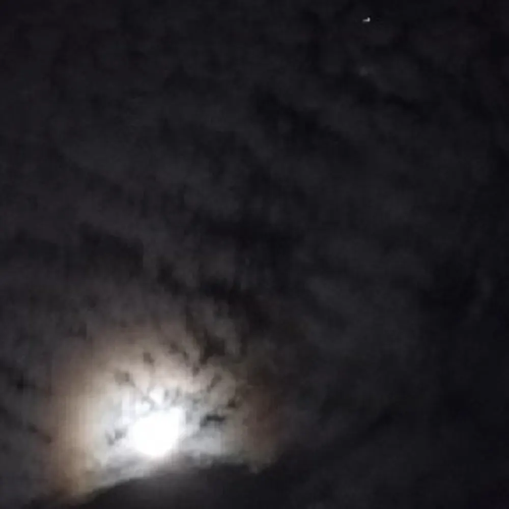 adawehi369.bsky.social's profile picture