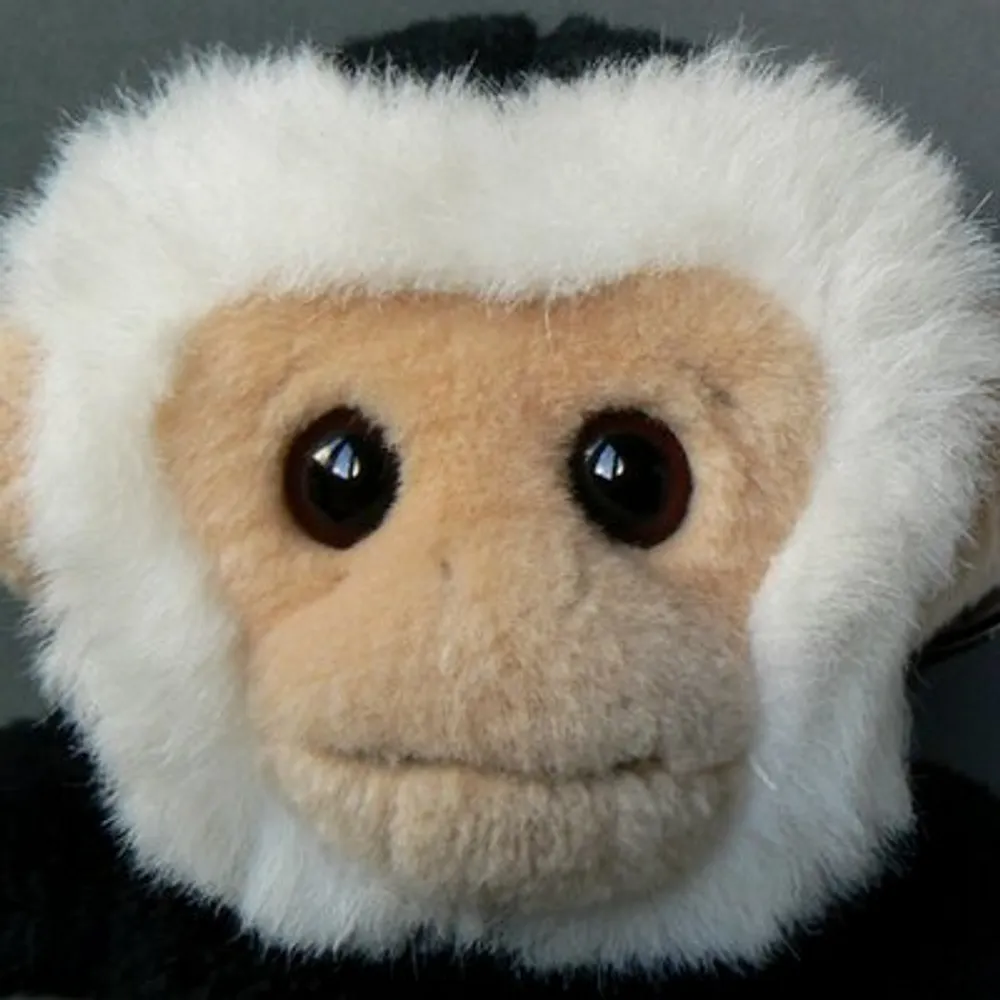 mooch-monkey.bsky.social's profile picture