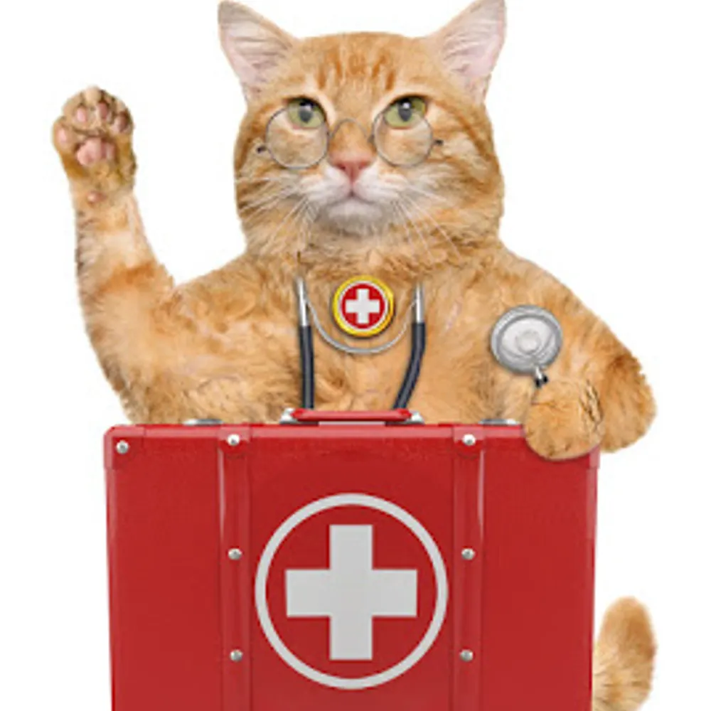 upsidedownfake.bsky.social's profile picture