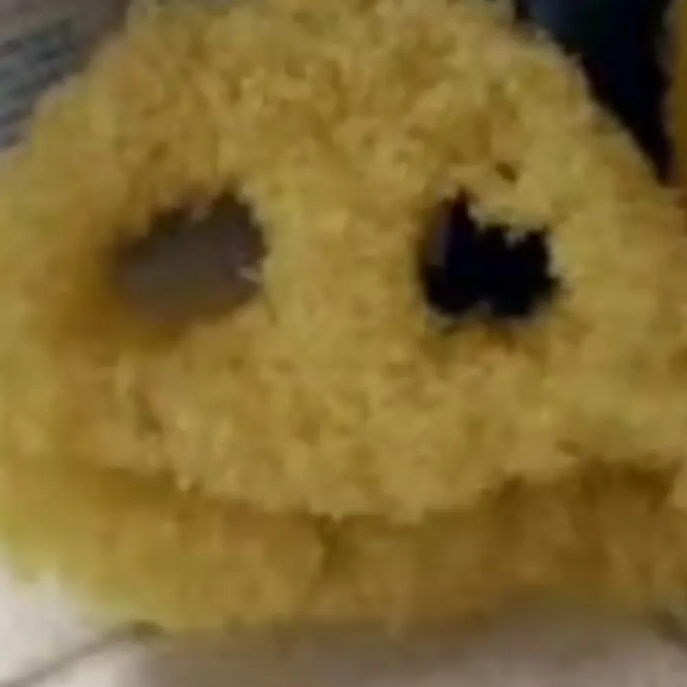 sault.bsky.social's profile picture