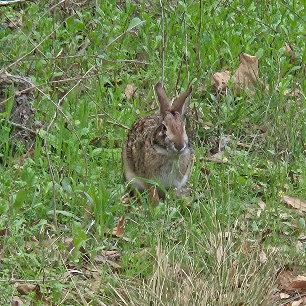 btady138.bsky.social's profile picture