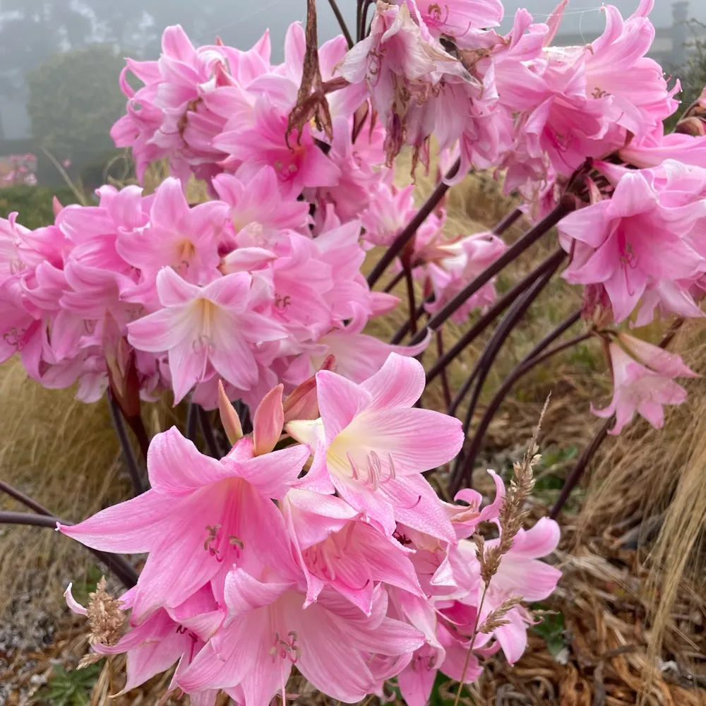 sustainablesuzy.bsky.social's profile picture