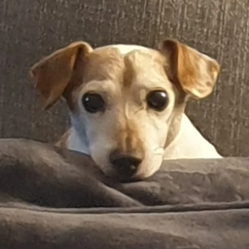 markkbadger10.bsky.social's profile picture