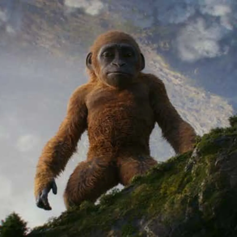 mistercrapshoot.bsky.social's profile picture